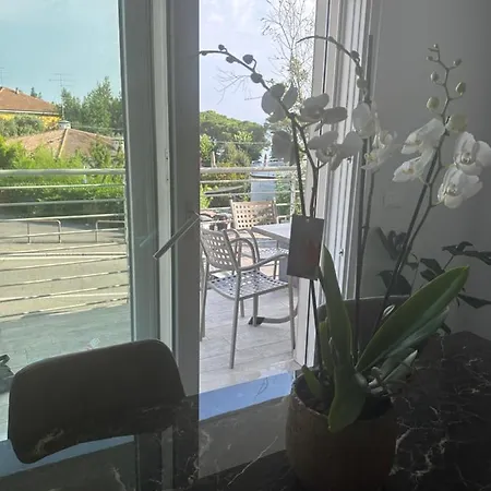 House Al Porto View Apartment *